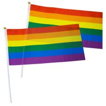 LGBTQIA+ Pride Hand Flags